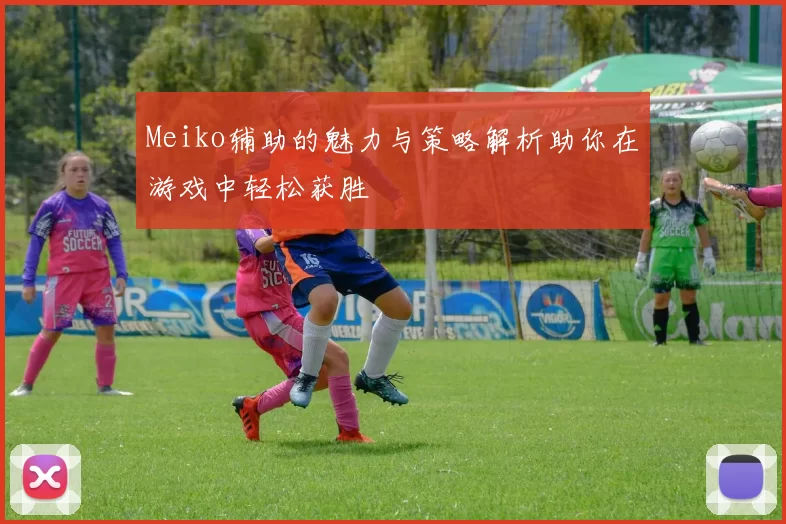 Meiko辅助的魅力与策略解析助你在游戏中轻松获胜