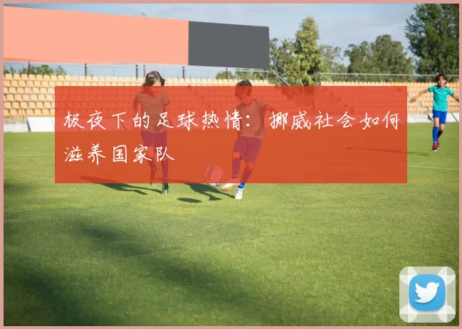 极夜下的足球热情：挪威社会如何滋养国家队