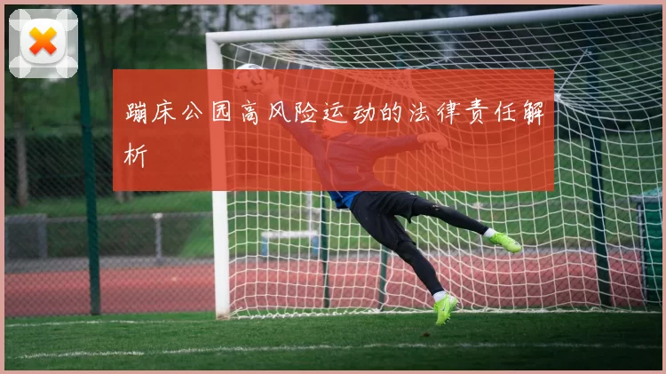 蹦床公园高风险运动的法律责任解析