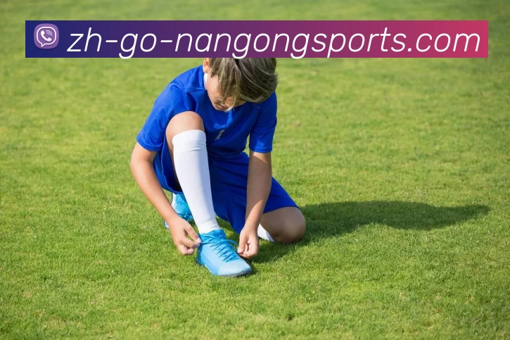 南宫体育平台生态图